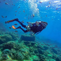 Сила морського колагену Сила морського колагену