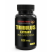 Tribulus 90% Saponins 500 mg – Купити трибулус для чоловіків | 90 капсул
